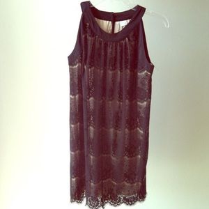 New Beige and Black Lace Dress